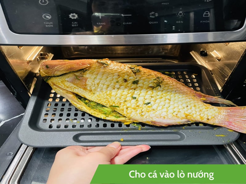 Bước 4: Cho cá nướng vào lò vi sóng