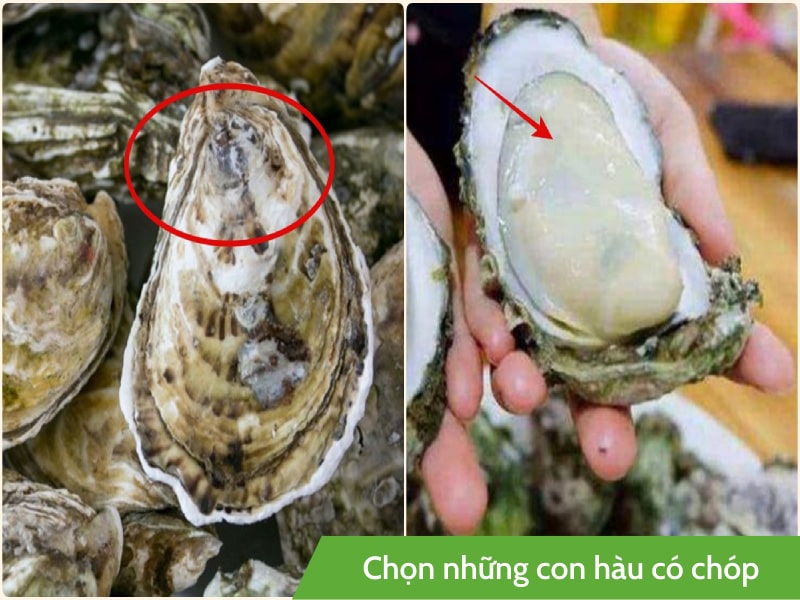 Chuẩn bị hàu nướng ngon nhất