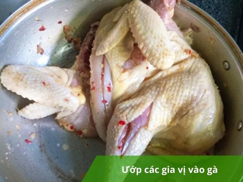 Ướp gà với giá vị trước khi luộc