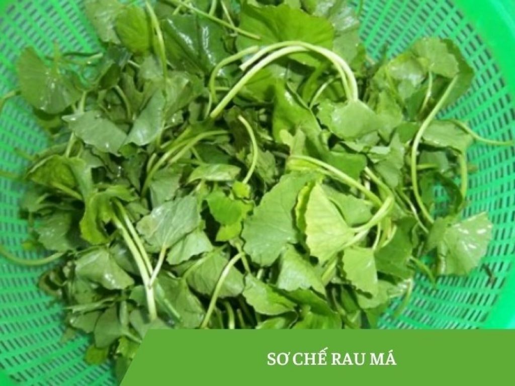 Cách làm sinh tố rau má thanh mát, giải nhiệt cơ thể