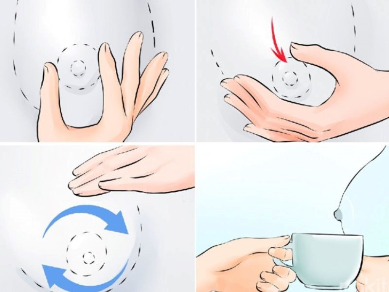 Cách vắt sữa dùng tay cho mẹ
