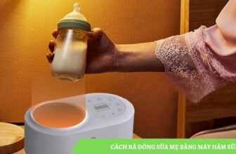 cách rã đông sữa mẹ bằng máy hâm sữa
