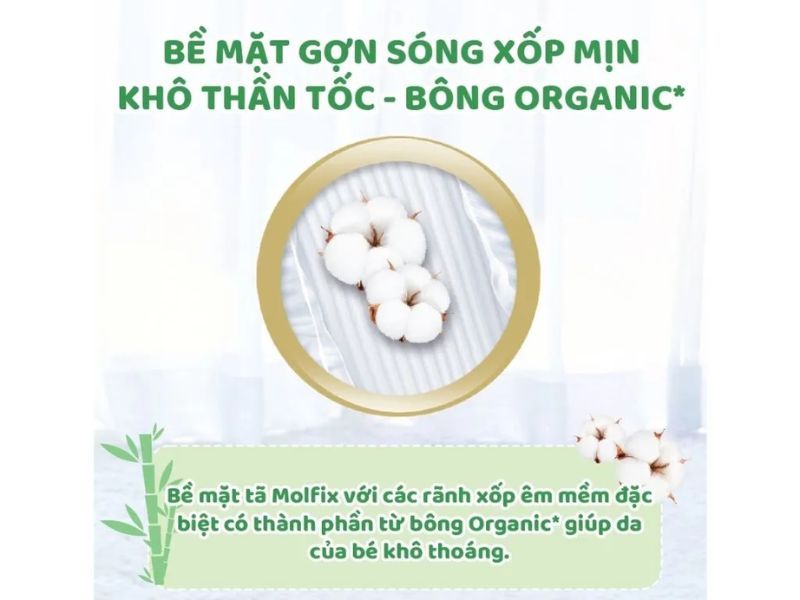 Loại bỉm có thành phần đặc biệt hoàn toàn Organic an toàn 