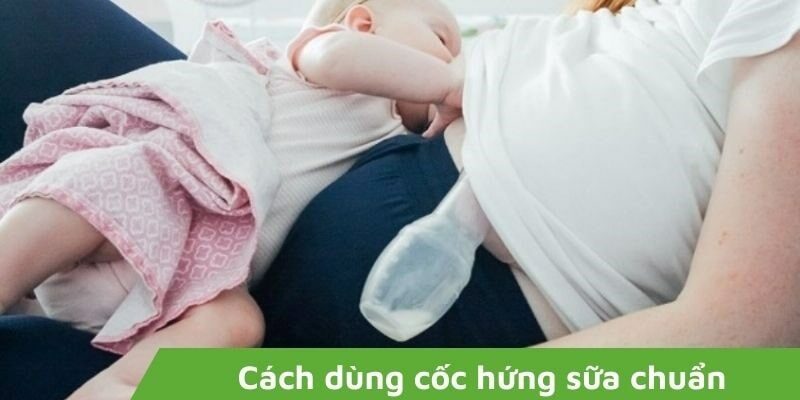 Cách dùng cốc hứng sữa hiệu quả và những vấn đề mẹ cần lưu ý