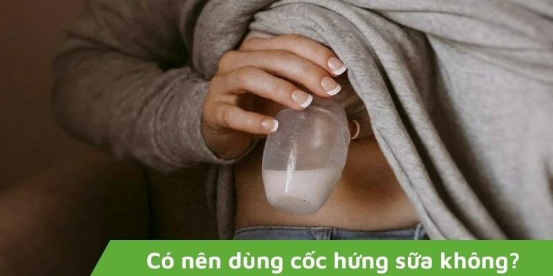 Có nên dùng cốc hứng sữa không? Các sản phẩm được mẹ bỉm tin dùng