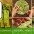 Thông tin chi tiết về nồi chiên không dầu Đức Klarstein