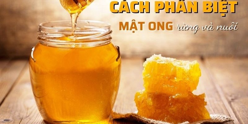 Phân biệt Mật Ong Rừng và Mật Ong Nuôi