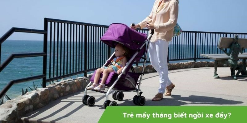 Trẻ mấy tháng biết ngồi xe đẩy? Cách chọn loại phù hợp