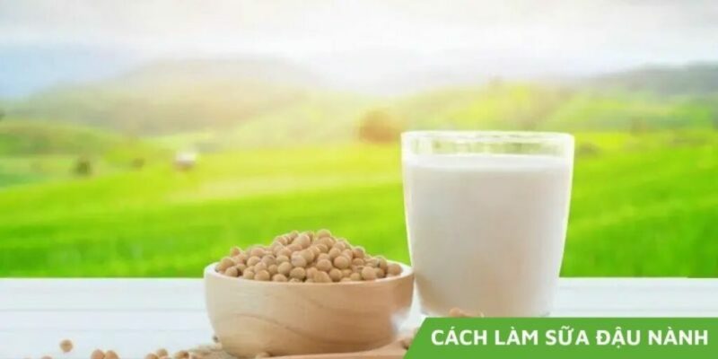 Cách làm sữa đậu nành thơm ngon dễ làm ngay tại nhà